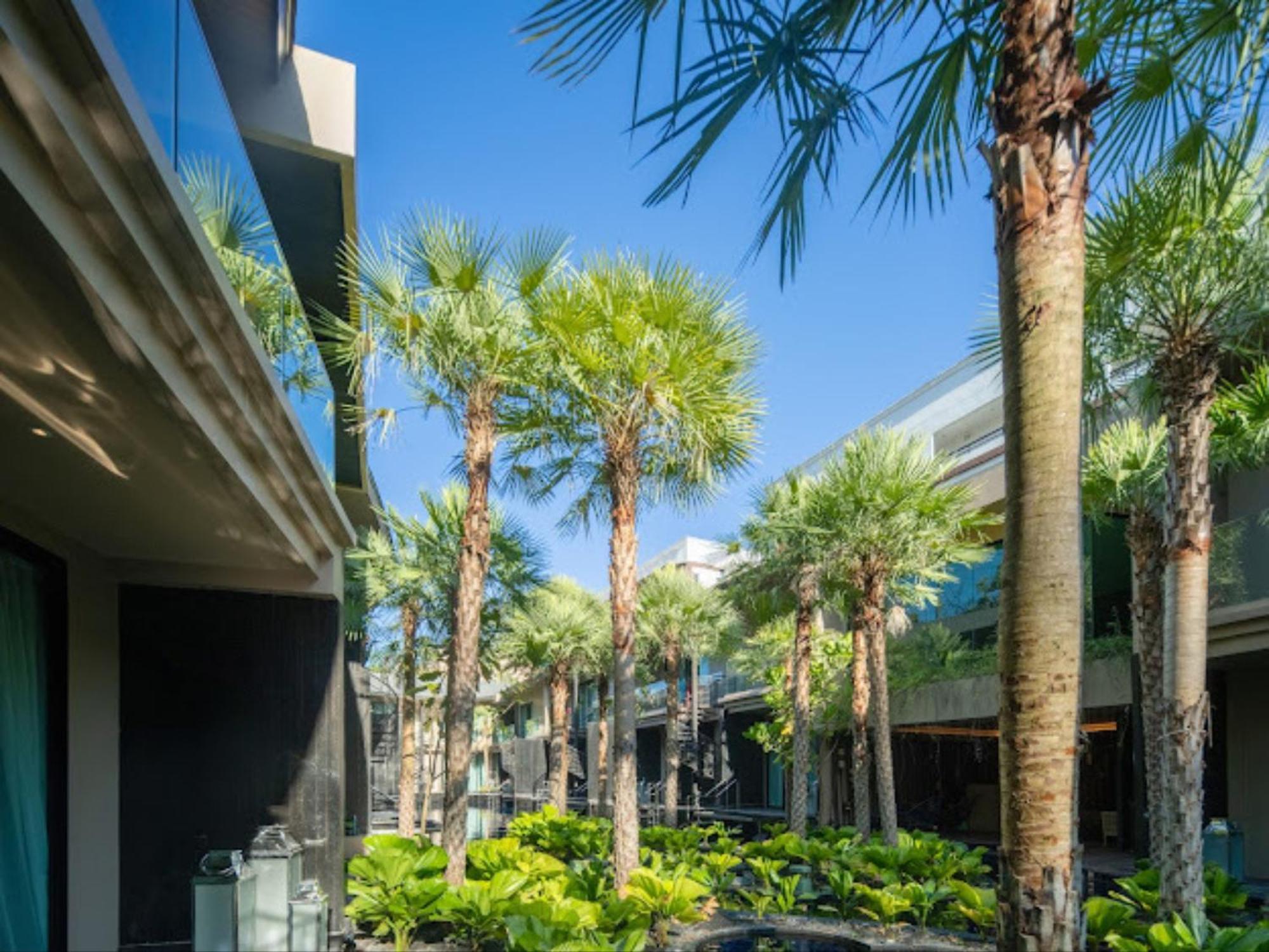 Areca Resort And Spa Kathu Exteriér fotografie